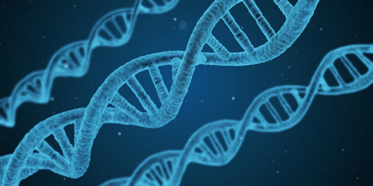 genome